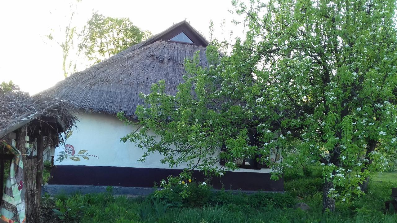 Koryakivskyi Rai Pensionat Dmitrenki Exteriör bild